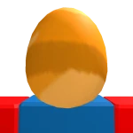 Head Developer